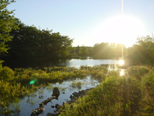 DSC03316.jpg