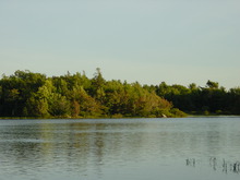 DSC03319.jpg