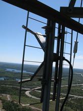 IMG_7909.JPG