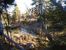 PC063540.JPG