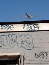 PC063550.JPG