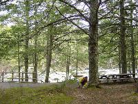 2004_40.jpg