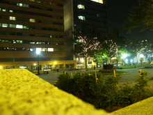 P9082093.JPG