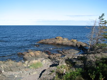 IMG_4420.JPG