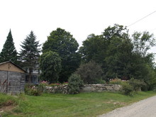 P8231940.JPG