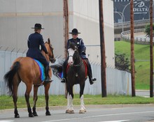 BillMcKinnon/Mounted_Police.JPG