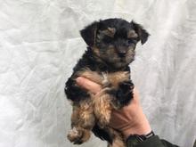 2017-06-15_kijiji.jpg