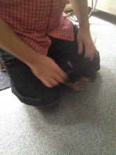 2017-06-18b.jpg