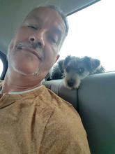 2017-08-28.jpg