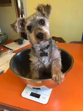 2017-10-28.jpg