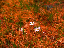 /P5193051.JPG