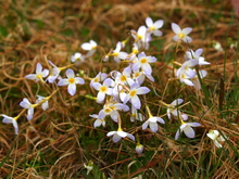 /P5193055.JPG